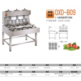 煲仔饭机：QXD-B09（双层双排9头）